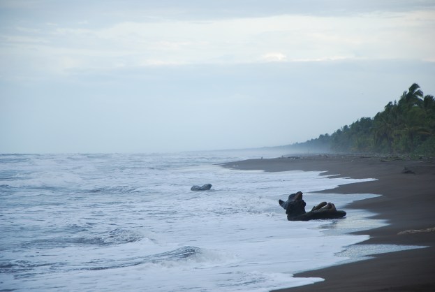Tortuguero, Costa Rica