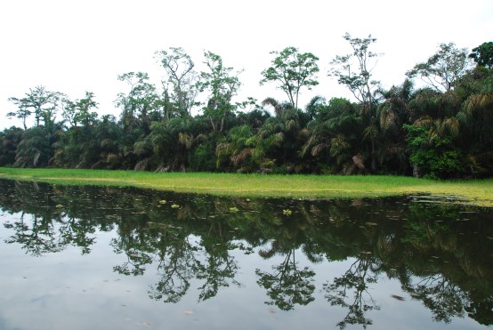 Tortuguero, Costa Rica