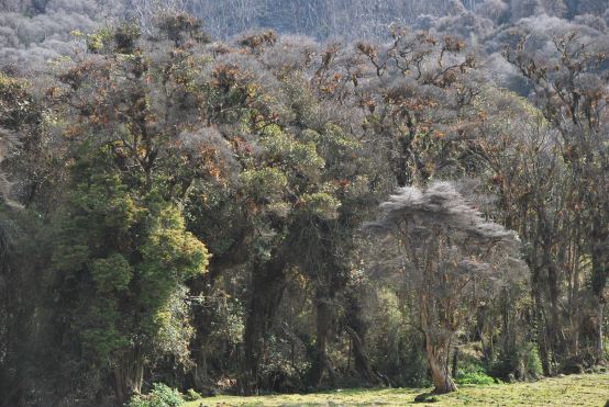Turrialba, Costa Rica