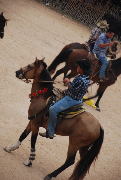 flower horse, Feria Mama, Mexico
