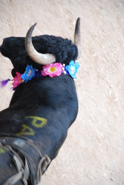 flower bull, Feria Mama, Mexico