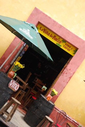 Vina de Bacco, San Cris, Mexico