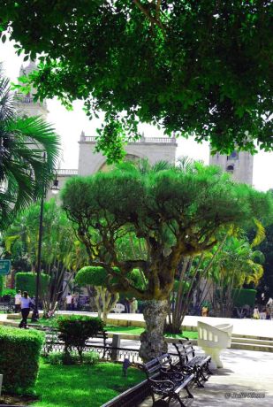 Merida confidentes Main Plaza Park, Merida, Mexico