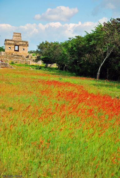 Dzibilchaltun ruins, Mexico Dzibilchaltun ruins, Mexico