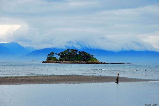 January : Trek to bottom of the World, Cabo Froward, Chile