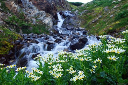 February : Southernmost trek, Dientes de Navarino, Chile