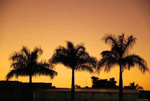 October : sunset over our life in Merida, Mexico