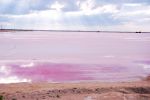Las Coloradas, Rio Lagartos, Mexico