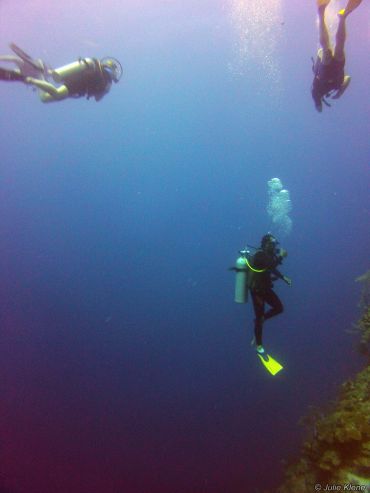 Raul diving, Belize