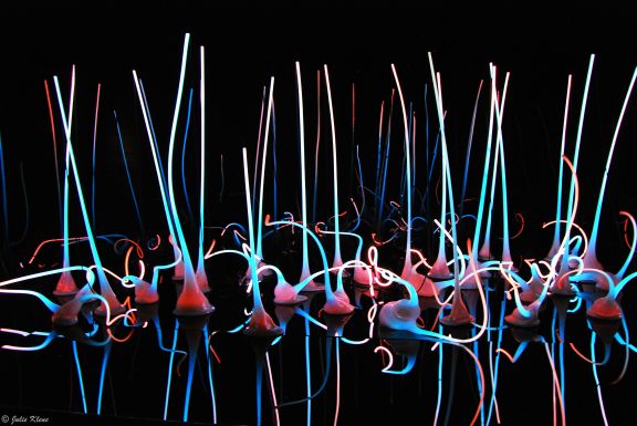 Chihuly, Seattle, WA, USA