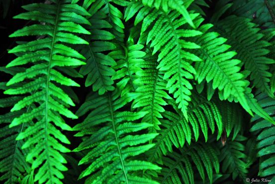 Multnomah Falls, OR, USA