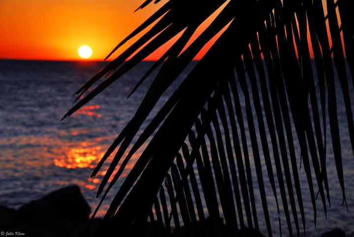 sunset in Key West, FL, USA