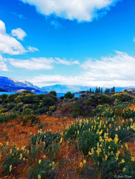 Puerto Tranquilo, Chile