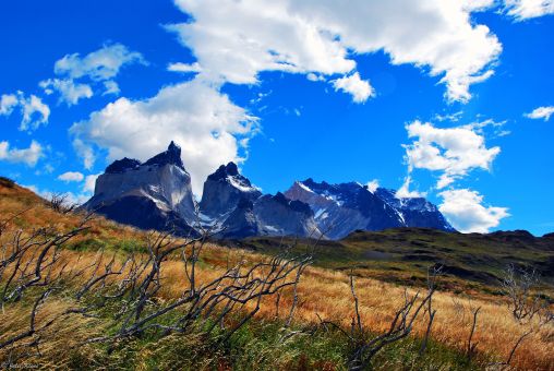 Cuernos del Paine, TdP, Chile