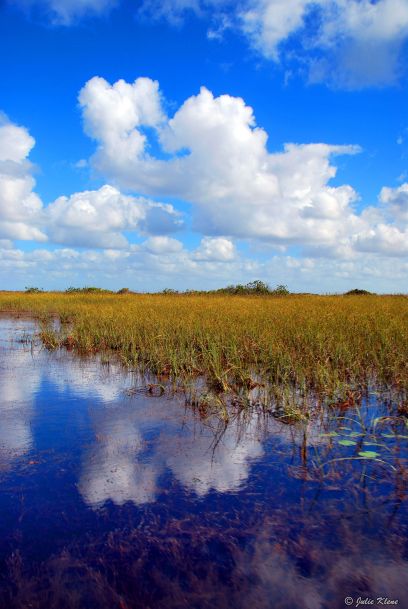 Everglades ride, Miami, FL, USA