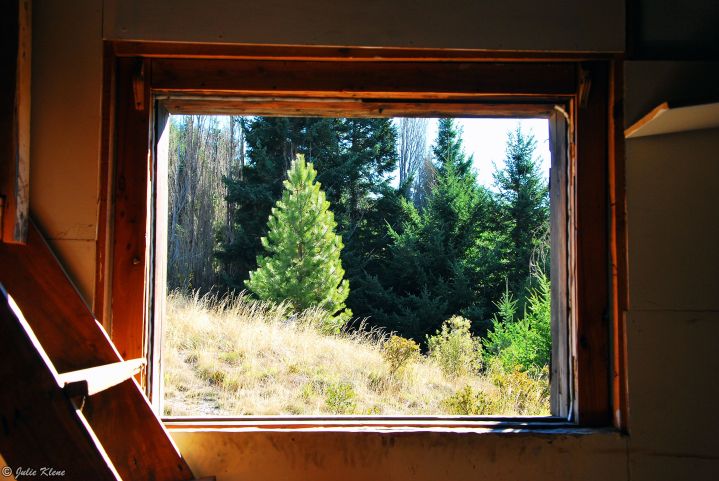 window into the wild, San Carlos de Bariloche, Argentina