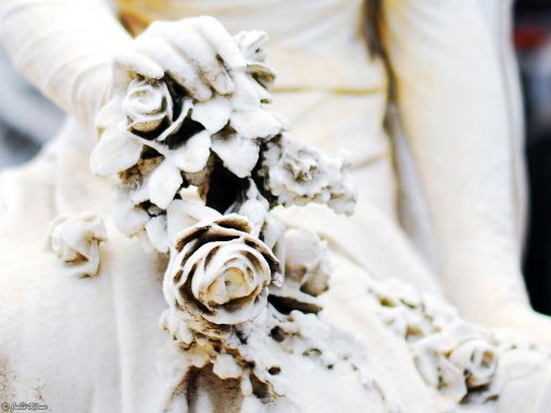 Recoleta cemetary, Buenos Aires, Argentina