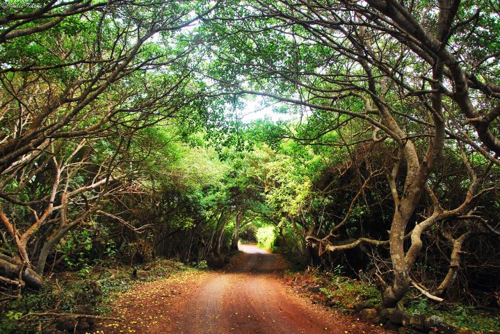 Galapagos islands, Ecuador