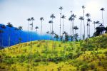 Cocora Valley, Salento, Colombia