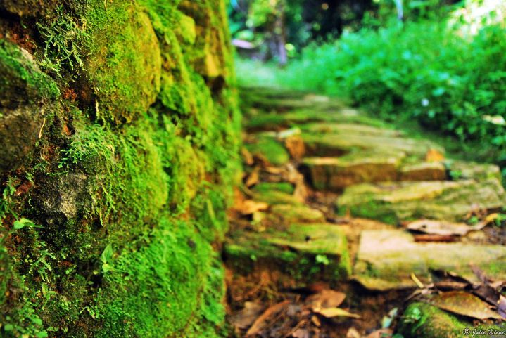 Ciudad Perdida trek, Colombia