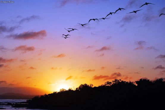 Galapagos islands, Ecuador