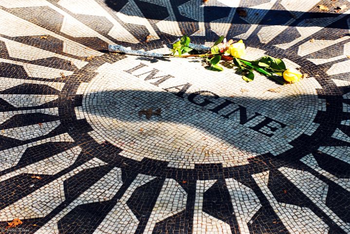 &laquo;&nbsp;Fav&rsquo;s of 2014 » are&nbsp;On!