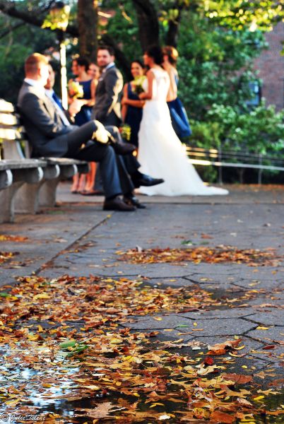white in the Fall, NYC, USA