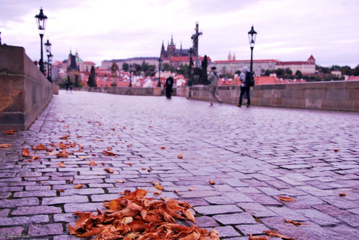 sunrise over Charles Bridge, Prague, Czech Republic