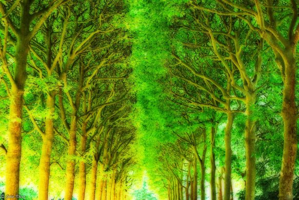 Parc de Sceaux, Paris