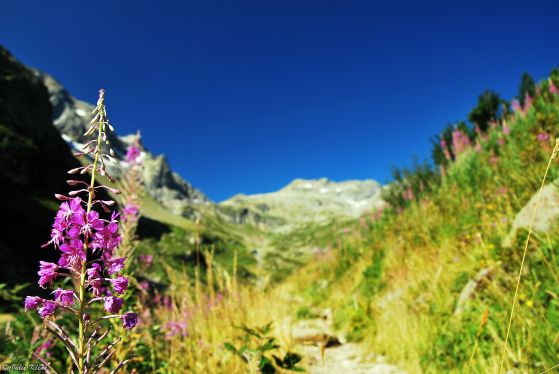 Mt Buet hike, Chamonix, France