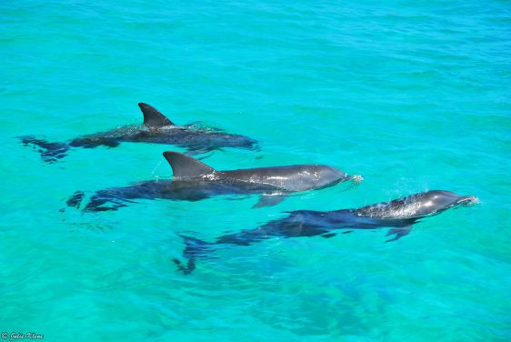 Sian Ka'an Reserve, Tulum, Mexico