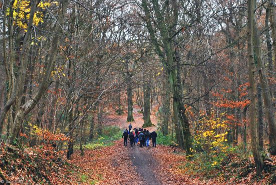 MeetUp Forest Walk, Versailles-Paris, France