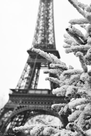 Winter (?) in Paris, France