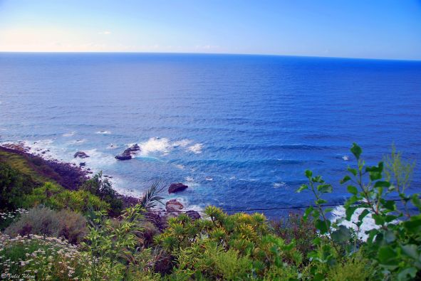 Puerto de la Cruz, Tenerife, Canary Islands