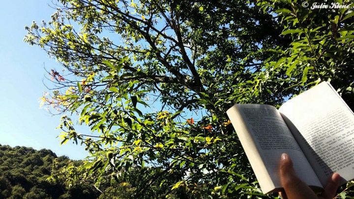 El Camino Day 30, to La Faba, Spain