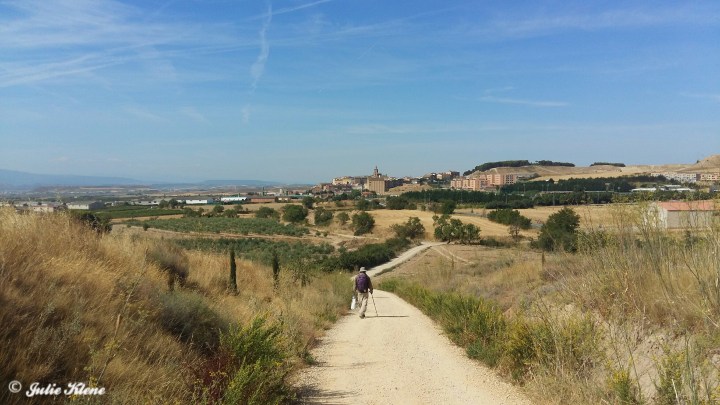 El Camino Day 11, to Los Arcos, Spain
