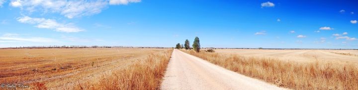 El Camino Day 21, to Ledigos, Spain