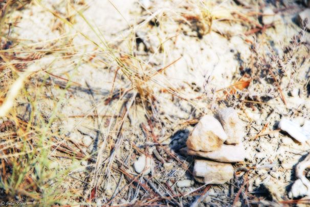 El Camino - Day 11, to Logroño, Spain