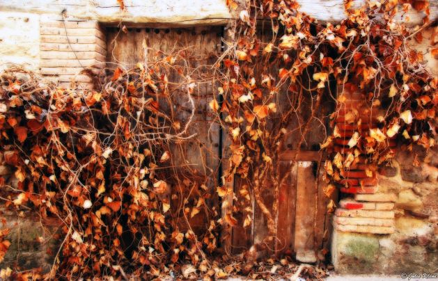 El Camino - Day 14, to Grañon, Spain