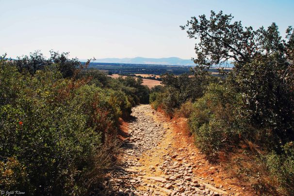 El Camino - Day 8, to Obanos, Spain