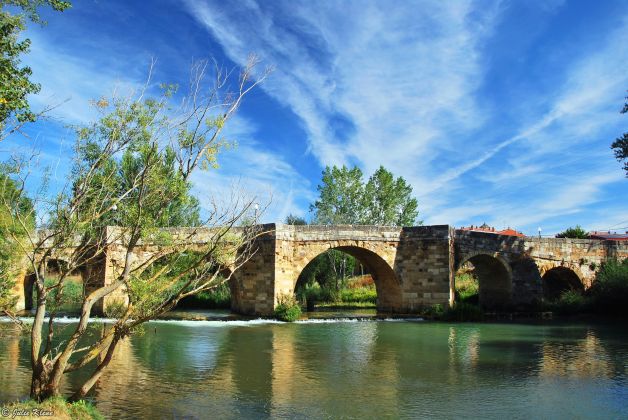 El Camino - Day 22, to Bercianos del Camino, Spain