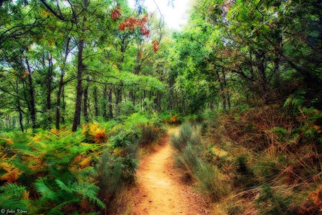 El Camino - Day 27, to Foncebadon, Spain