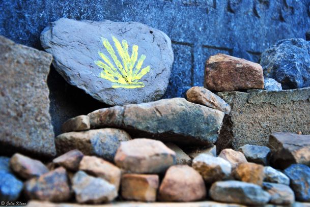 El Camino - Day 2, to Ostabat, France