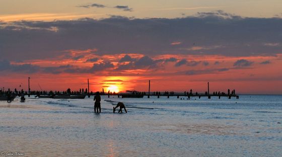 Holbox island, Mexico