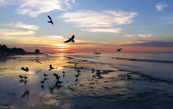 2016: A Year in Pictures 