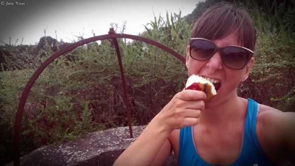 El Camino - Day 1, to Sauveterre de Béarn, France