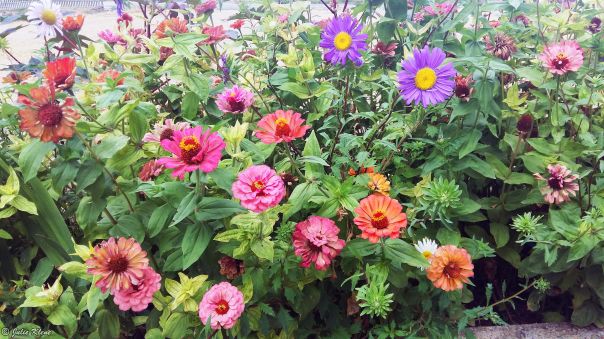 El Camino - Day 9 to Villatuerta, Spain