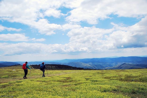 Chemin de Stevenson, GR 70, Cévennes, France