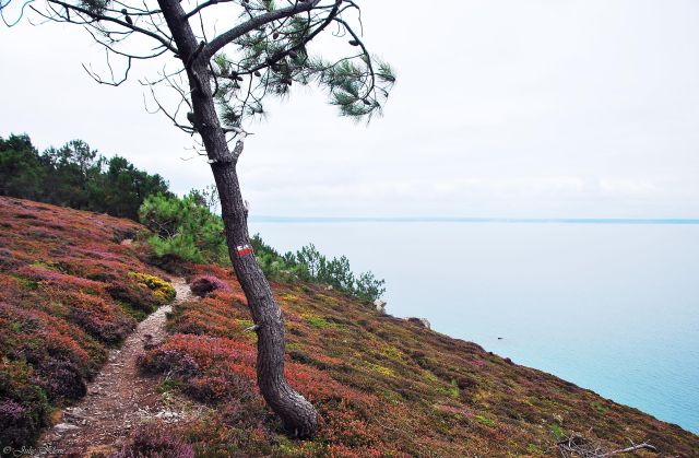 Sentier des Douaniers GR 34 - Morgat à Pentrez, Bretagne, France