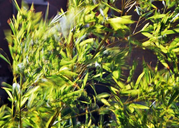 Confinement J18, Paris, France